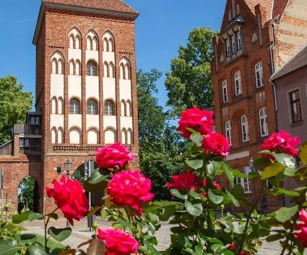 公寓 Kleine Gemuetliche Altstadt-, Monteurwohnung In